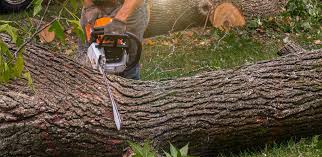 Lawn Irrigation Installation and Maintenance in National Harbor, MD